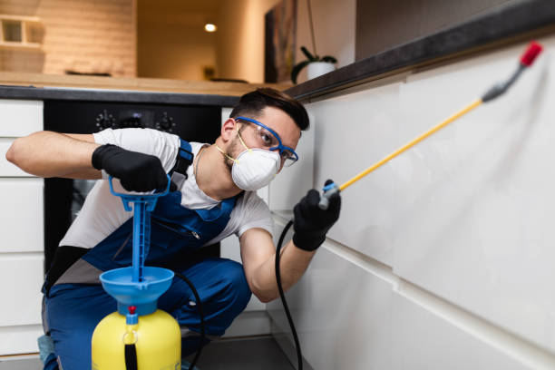 Best Pest Prevention Services  in Woodville, TX