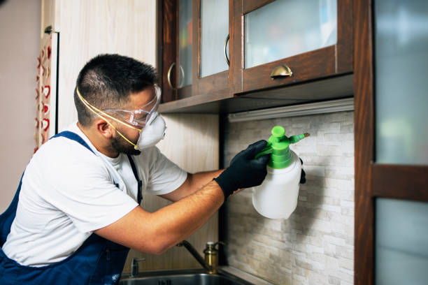Reliable Woodville, TX Pest Control Solutions