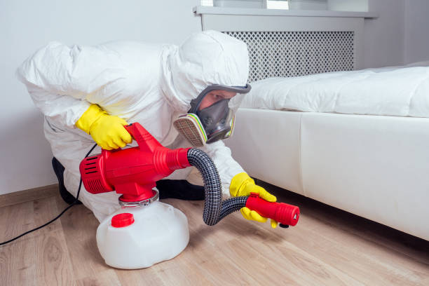 Best Affordable Pest Control Services  in Woodville, TX