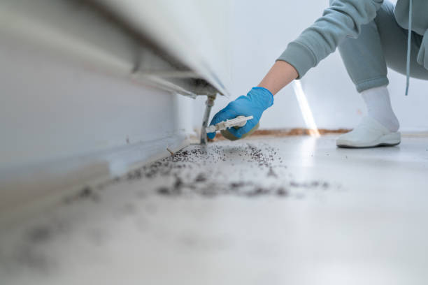 Best Bed Bug Extermination  in Woodville, TX