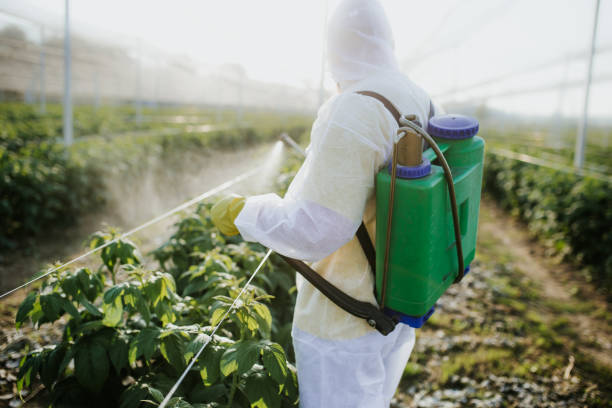 Best Pest Control for Restaurants  in Woodville, TX